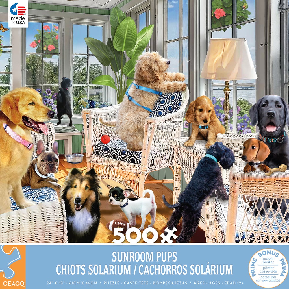 550PC PAWS GONE WILD ASST (6) BL